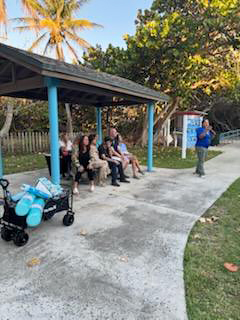 The Turtles Are Back (#3 of 3)